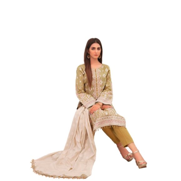 Tawakkal Pakistani Embroidered Jacquard Cotton Banarsi Shalwar Kameez Large/43 - Picture 3 of 14